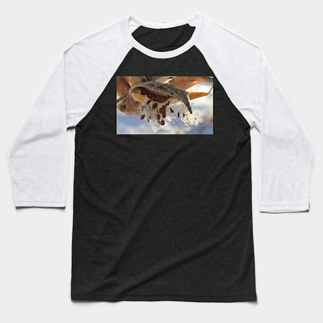 Milkweed Seed Pods in Winter Baseball T-Shirt by photoclique